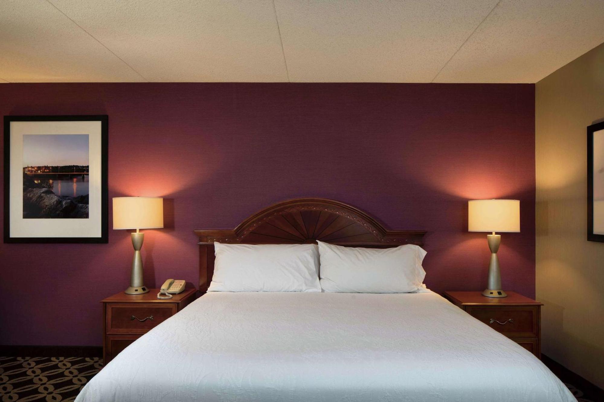 Hilton Garden Inn Auburn Riverwatch Buitenkant foto